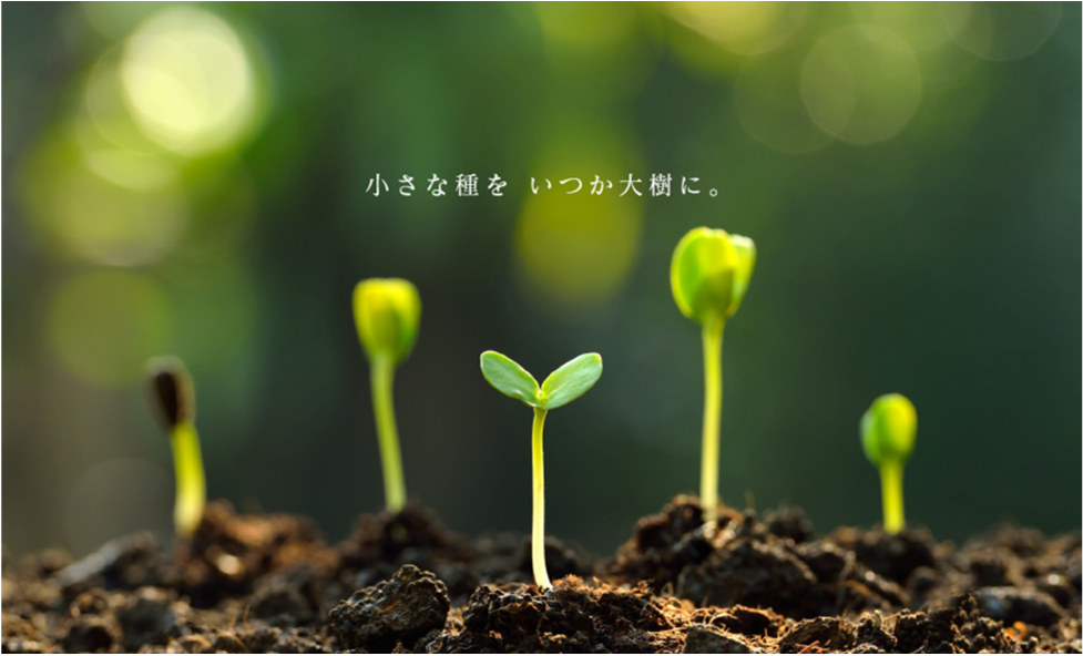 株式会社スプラウツ